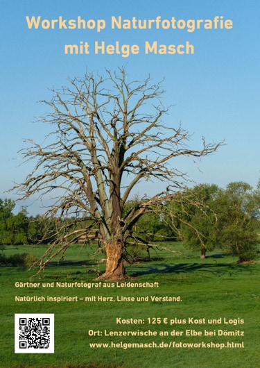Werbung: Workshop Naturfotografie