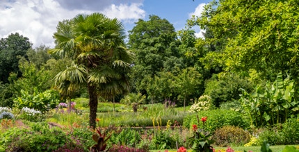 Botanischer Sondergarten Wandsbek