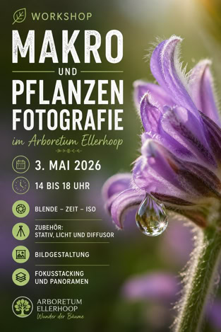 Makro und Pflanzenfotograffie