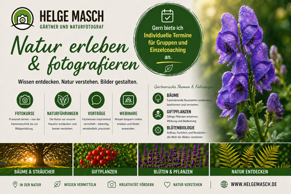 KI-generiert. Ein Werbeplakat mit dem Titel "Natur erleben & fotografieren", zeigt lila Blumen, Text über Workshops und Fotografie, sowie Bilder von Naturmotiven wie Blumen und Landschaften.